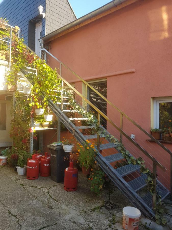 Pension im Glück Thale Exterior foto